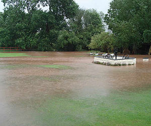 Another picture sent in by Nicki Wilkes.