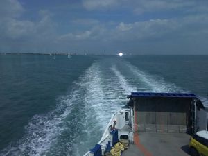 Supporting image for story: Walsall supporter at centre of fake news story to quit Twitter over abuse