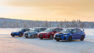 Supporting image for story