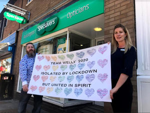 Supporting image for story: Artwork captures views on lockdown