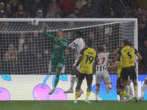 Supporting image for story: West Brom's Alex Palmer hoping for return to clean sheets