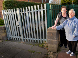 Supporting image for story: Alleyway closed after drug addicts threw needles into gardens