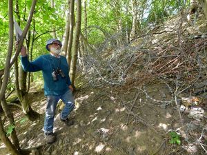 Supporting image for story: Fix fence or tragedy will happen at quarry, say worried residents