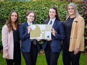 Supporting image for story: School in Sandwell scoops pioneering mental health award
