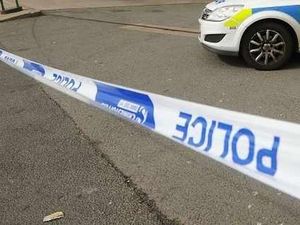 Supporting image for story: Witness plea after Wellington attack