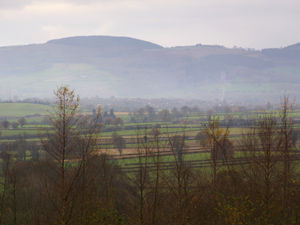 Supporting image for story: No plans for cabin park in unspoilt Shropshire woodland - Forestry Commission