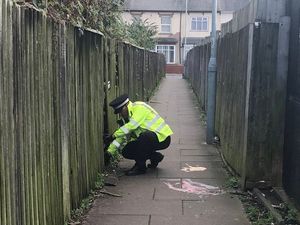 Supporting image for story: Police find 12-inch knife in alleyway