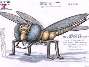 Supporting image for story: Plea for old spectacles for dragonfly sculpture takes off
