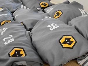 Supporting image for story: Amazing 24-hour Wolves silent auction announced - ENDS 12pm! 