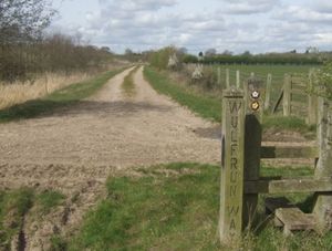 Wulfrun Way off Broad Lane