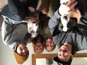 Supporting image for story: Family in appeal for help to fund life-saving treatment for pet dog Stonnie