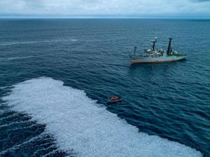 Supporting image for story: Mass swarm of dead fish in Atlantic prompts French inquiry