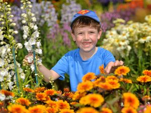 Supporting image for story: Everything that happened on Day 1 of the Shrewsbury Flower Show 