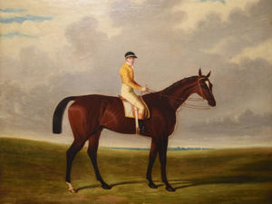 Supporting image for story: Entries for Halls Fine Art Sporting and Wildlife auction in Shrewsbury now open