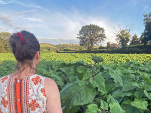 Supporting image for story: Flower power down on the farm 