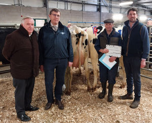 Andrew Shakeshaft (second from right), owner of the reserve champion and top dairy cow, with (from left) Halls chairman Allen Gittins, Ashley Latham from Livestock Supplies and judge Richard Bowdler.