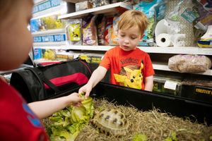 Nathaniel Pearson 5, with the tortoise