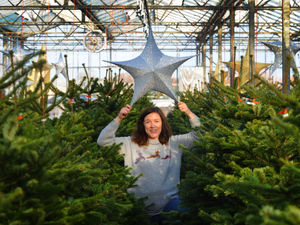 Supporting image for story: Stafford's Canalside Farm launches new Christmas event