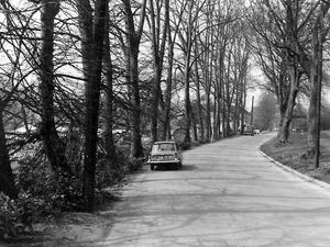 Supporting image for story: Pictures from the past
