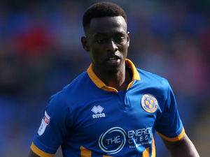 Supporting image for story: Abo Eisa making strides on Shrewsbury Town comeback trail