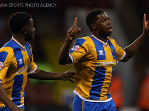 Supporting image for story: Shrewsbury Town want one more loan signing