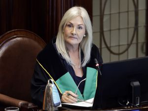 Supporting image for story: Ceann Comhairle urges action on fake social media accounts and false narratives