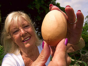 Supporting image for story: Shropshire farmer shell-shocked over giant egg