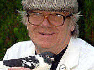 Supporting image for story: Feathers fly in pigeon coup