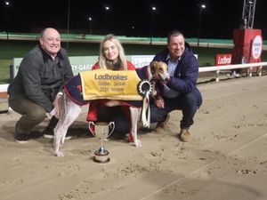 Supporting image for story: Mongys Wild is golden once again at Monmore