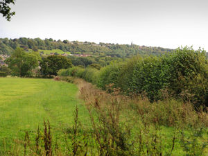 Supporting image for story: Express & Star comment: Growing threat to green belt