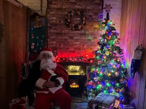 Supporting image for story: Charity hosts a magical Christmas celebration at Delph Stables