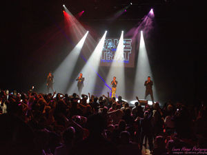 Supporting image for story: Meet the top UK tribute bands performing at this summer's Shrewsbury Flower Show