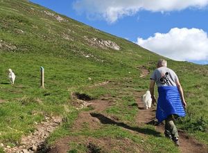 Rupert's normally too lazy to climb a hill without lagging behind - but suddenly he has a spring in his step