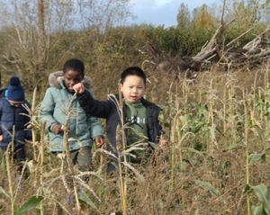 Some of the children on the farm
