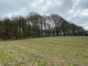 Supporting image for story: Chance to buy south Shropshire woodland and pasture field with £30,000 guide price