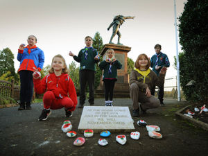 Supporting image for story: Bridgnorth Guides and Scouts create colourful tributes for Remembrance Sunday