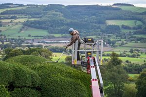Dan Bull, gardener, at Powis Castle trimming the Yew Topiary. 