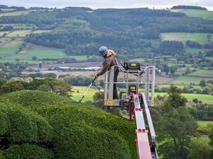 Supporting image for story: ‘I’m a brave Mid Wales gardener who uses a cherry picker to trim 300-year-old hedges at this beautiful historic castle’