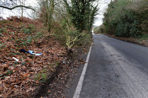 The crash took place, in Pinfold Lane, Aldridge, just minutes into New Year's Day