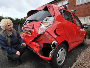 Supporting image for story: The Daily Snapshot - November 28, 2012