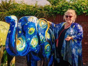 Supporting image for story: Elephant makes trium-phant return to March of the Elephants Trail