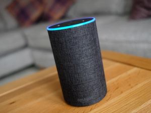 Supporting image for story: Amazon’s Alexa offers information on sight loss as part of charity scheme
