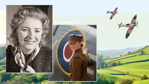 Supporting image for story