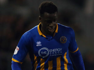 Supporting image for story: Shrewsbury send Arthur Gnahoua on loan to AFC Fylde