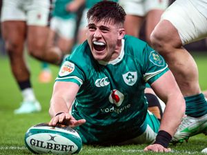 Dan Sheehan celebrates scoring Ireland's fourth try against England