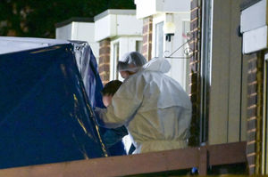 Investigators at the scene of the fire. Photo: SnapperSK