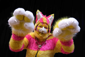 Eye-catching moggy Chester the cat played by Ann Lloyd. Image by Andy Compton