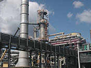 Supporting image for story: Area's towers breed deadly bug