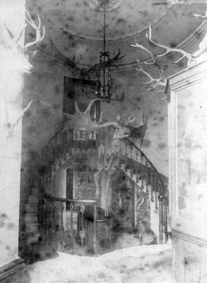 Supporting image for story