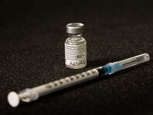 Supporting image for story: ‘Off the scale’ antibodies from Pfizer jab could protect against Brazil variant